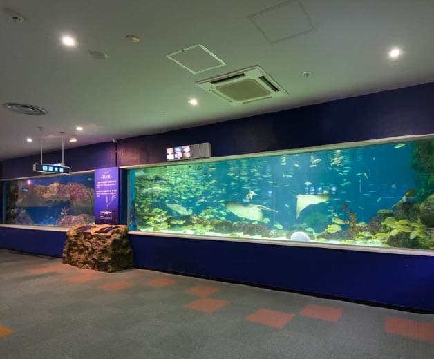 新さっぽろサンピアザ水族館の見どころ・料金・アクセス