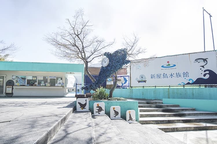 新屋島水族館の見どころは？休館・リニューアル情報も紹介