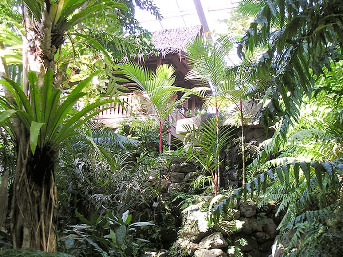 板橋区立熱帯環境植物館の見どころ！料金や水族館も紹介