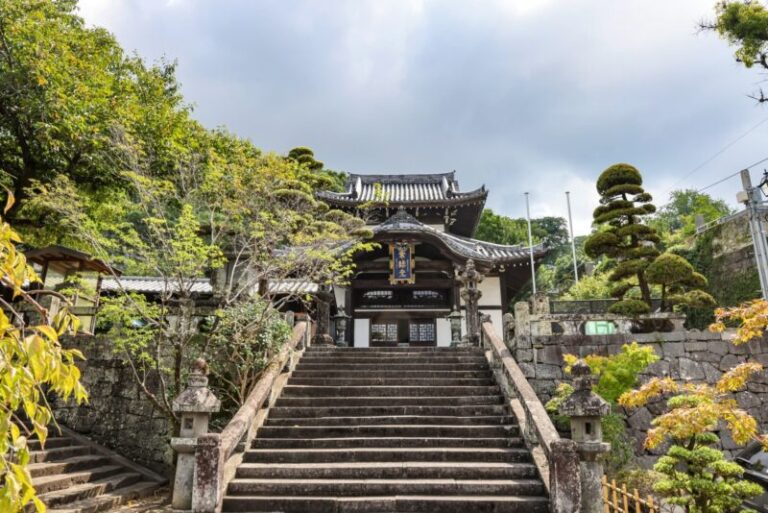 高台寺のライトアップはいつ？夜間特別拝観の時間・料金・訪問前の確認点