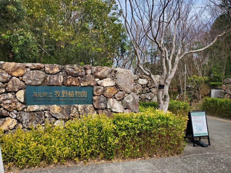 高知県立牧野植物園の回り方｜約2時間を目安に、起伏と屋内施設を踏まえて楽しむ