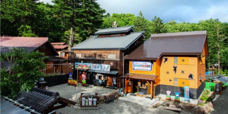 チビッ子忍者村の料金・見どころ・アクセス完全ガイド