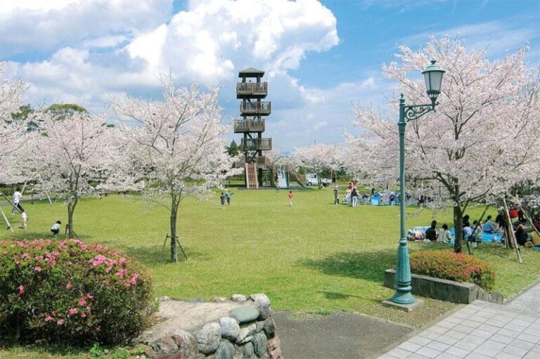 一宇治城跡を歩く｜島津氏とザビエルゆかりの山城