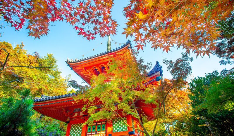 三瀧寺の見どころと紅葉!アクセス・駐車場・御朱印ガイド