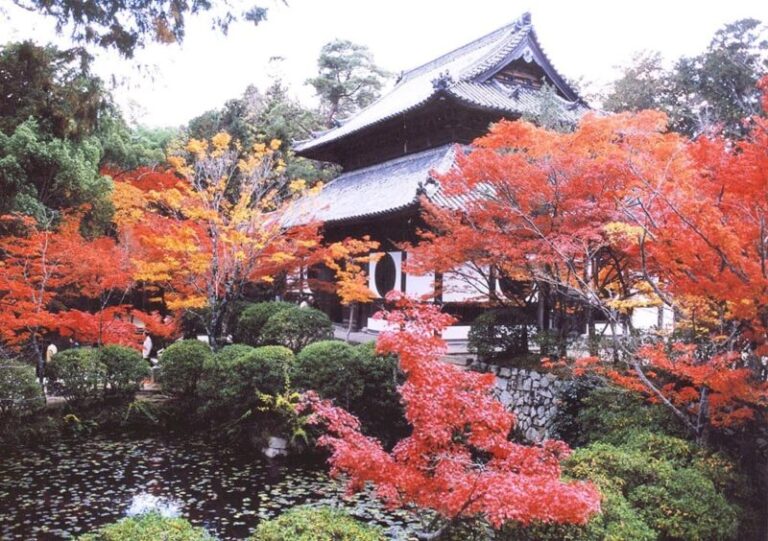 井山宝福寺の見どころ！紅葉・雪舟の伝説・アクセスガイド