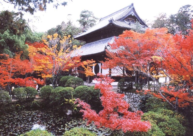 井山宝福寺の見どころ!紅葉・雪舟の伝説・アクセスガイド