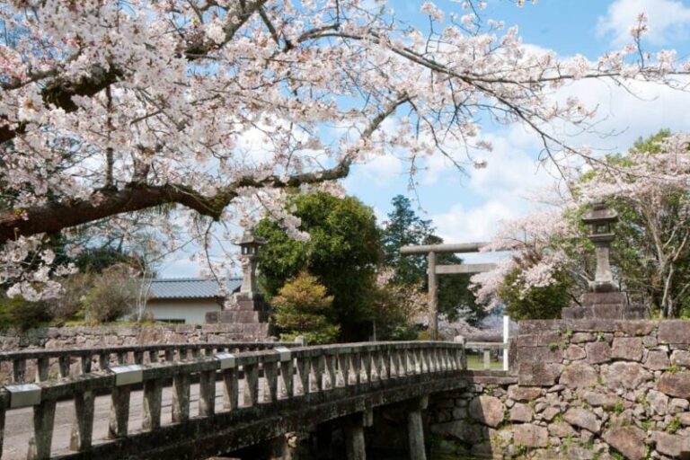 人吉城跡の見どころ｜相良氏700年の歴史と石垣を歩く