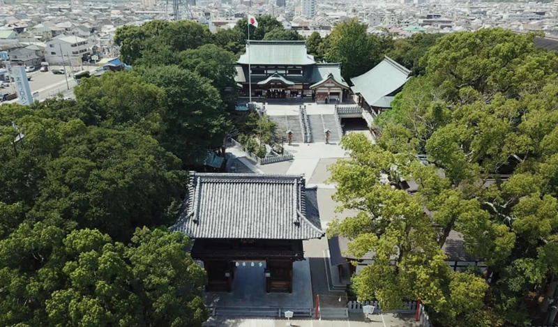 伊豫豆比古命神社(椿神社)のご利益と参拝ガイド