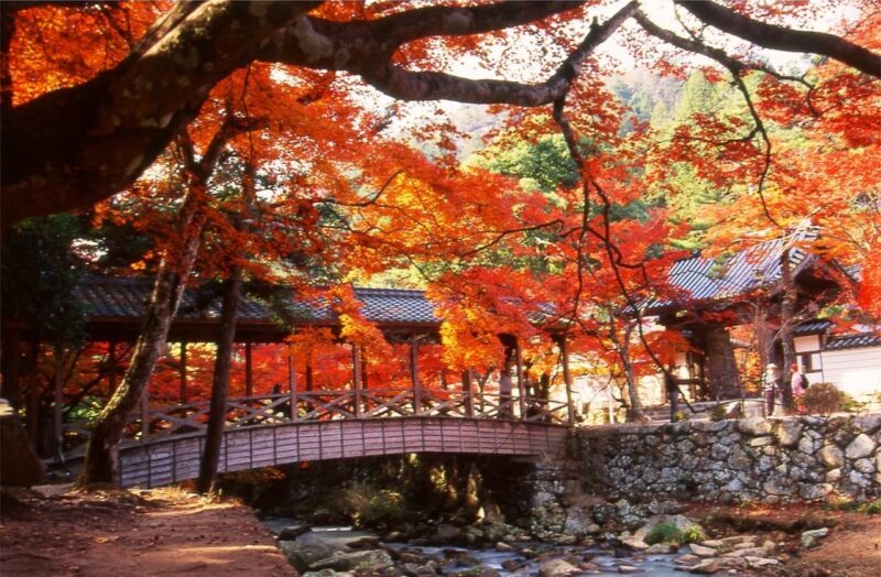 佛通寺の紅葉と見どころ・拝観料・アクセス完全ガイド