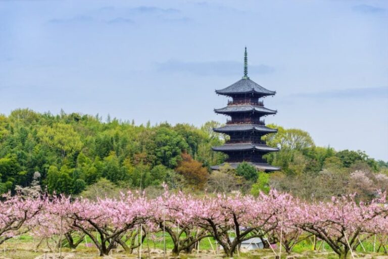 備中国分寺の五重塔と見どころ！駐車場・アクセス・花の見頃