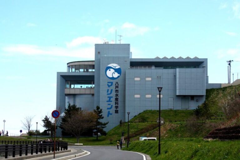 八戸市水産科学館マリエントの見どころと楽しみ方