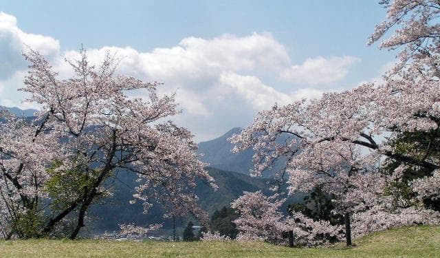 勝山城跡（山梨県都留市）の見どころ！歴史・登山・アクセス