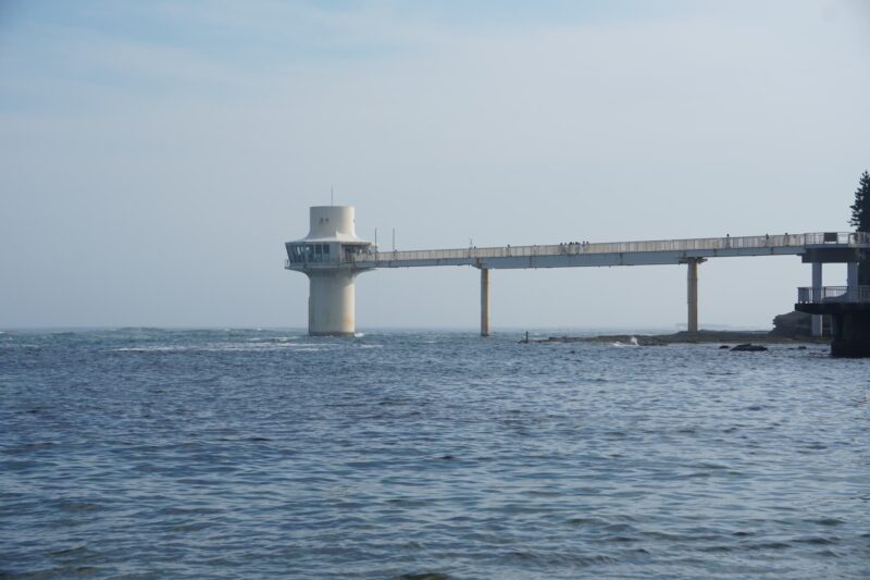勝浦海中公園 海中展望塔の見どころと楽しみ方