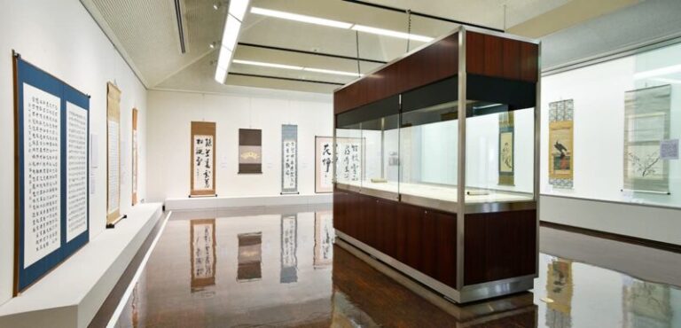 北海道立函館美術館の見どころは？料金・所要時間・アクセス