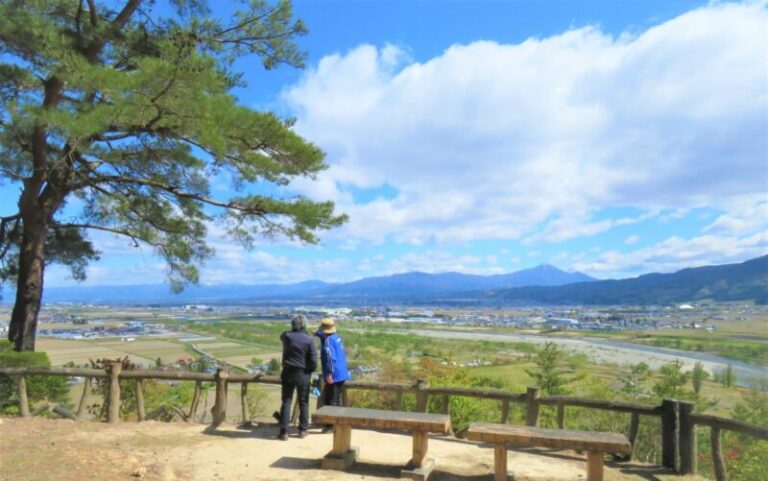 向羽黒山城跡の見どころ・歴史・アクセス完全ガイド