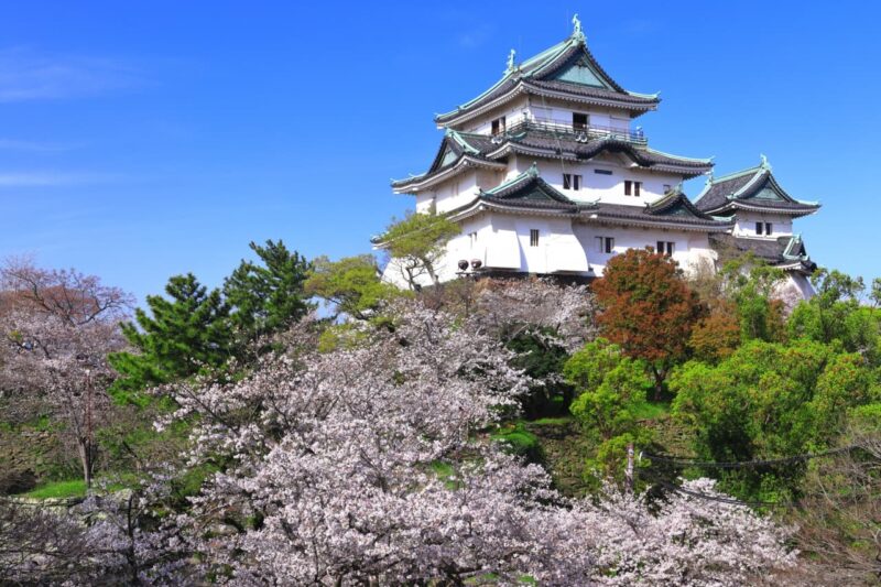 和歌山城の見どころ!歴史・入場料・駐車場ガイド