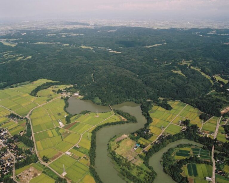 増山城跡の見どころと歴史！駐車場・登城ルートも解説