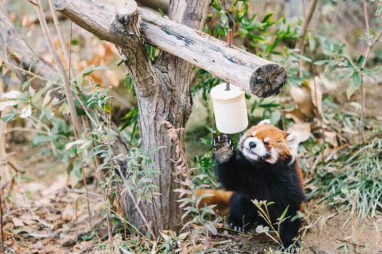大牟田市動物園 ともだちや絵本美術館 水族館エリアの魅力