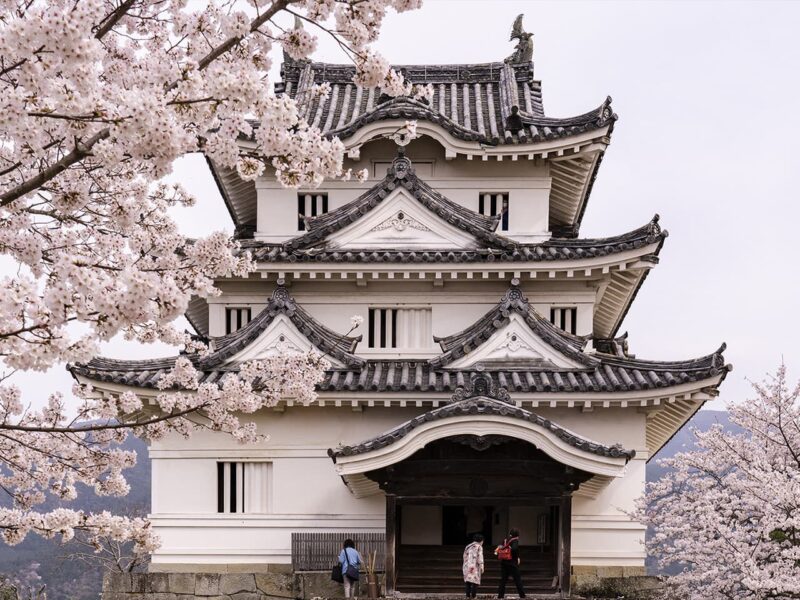 宇和島城の見どころは？現存天守と伊達家の歴史を紹介