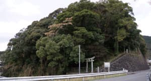 宿毛城跡の見どころは？歴史・石垣・アクセスを紹介