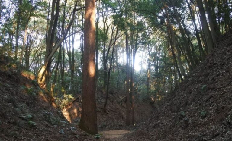 小幡城跡の見どころと歴史！巨大空堀やアクセスを解説