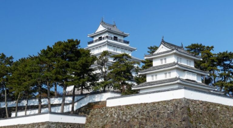 島原城の見どころ完全ガイド！歴史・料金・アクセス