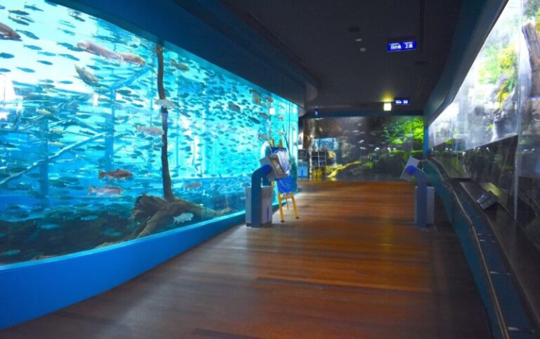森の中の水族館の見どころ！料金・アクセス・駐車場