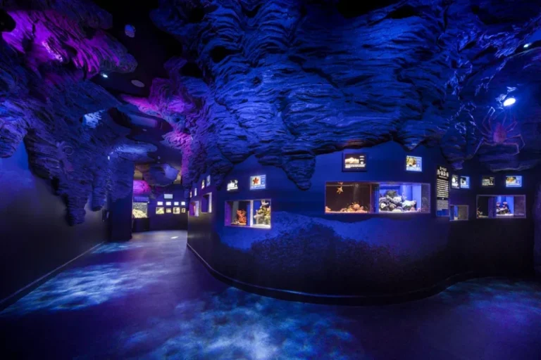 沼津港深海水族館 シーラカンス・ミュージアムの見どころ