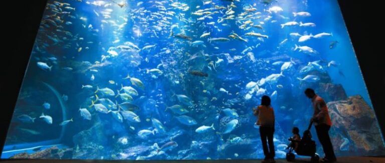 男鹿水族館GAO